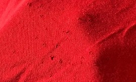 KUPILI STE I OPRALI  MAJICU, ALI STE PRIMETILI DA IMA RUPE? Ne, nisu moljci - evo šta je zapravo glavni krivac i kako da to sprečite!