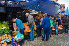 POVRĆE KOJE MOŽE POMOĆI U REGULACIJI HOLESTEROLA I PRITISKA Ima ga na svakoj pijaci, ali važan je pravi izbor