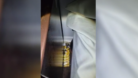 UŠAO JE U SPAVAĆU SOBU, PA VIDEO DA NEŠTO LEŽI IZA KREVETA Približio je kameru, a onda... (VIDEO)