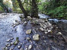 DRINA PROMENILA BOJU U CRVENO Neočekivana pojava usred zime, stručnjaci utvrdili šta se desilo
