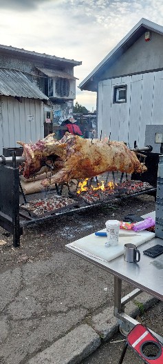 DOMAĆIN RASPALIO VOLA NA RAŽANJ NASRED ULICE Ludilo u Zemun Polju - ljudi oduševljeni! (FOTO)