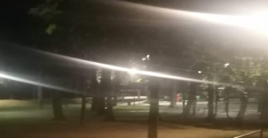 "PRVO NISAM MOGAO DA VERUJEM, MISLIO SAM DA MI SE PRIČINJAVA..." Građani zatečeni prizorom u Parku narodnih heroja, kamera je snimila - Pogledajte! (FOTO)