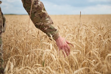 Uvode se kvote za šećer, jaja, živinu… Ukrajina ostaje bez slobodnog uvoza