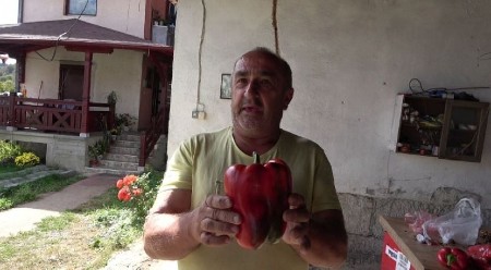 NE BACAJTE PETELJKE OD PAPRIKA Kad saznate čemu služe, koristićete ih u svakom jelu