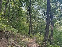 MISTIČNA STAZA PODNO SRPSKE PLANINE! Njom je prolazio patrijarh Pavle, a malo ko zna za njenu tajnu (FOTO)