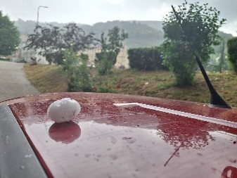 PAO GRAD VELIČINE ORAHA Olujni vetar u komšiluku čupao stabla! (FOTO)