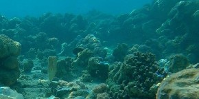 NAJLEPŠA STATUA ISUSA HRISA NALAZI SE POD VODOM Pogledajte kako izgleda (VIDEO)