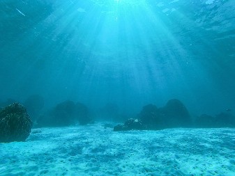 SPUSTILI SU KAMERU U MORE DA BI SNIMILI MORSKO DNO ISPOD ČAMCA Kada su pogledali snimak sledili su se - morska neman je plivala tik pored njih