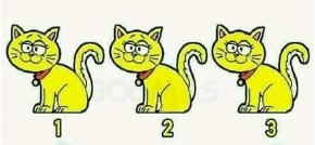 IMATE LI OKO SOKOLOVO? Samo genijalci pronalaze ULJEZA među ove 3 mačke – Da li vi vidite šta ne štima? (FOTO)