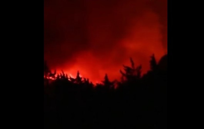 KATASTROFA NA KOSOVU I METOHIJI! 40 požara u jednom danu, vazdušna intervencija hitno potrebna!