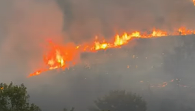 EVROPA GORI, ZEMLJE U POŽARU! Vatra u Španiji van kontrole, alarmantno i u Francuskoj! (VIDEO)