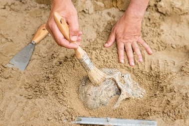 UBIJENI, ODRANI, PA SKUVANI I POJEDENI Zastrašujuć dokaz o kanibalizmu otkriven u Španiji (FOTO)