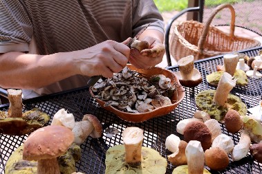 Zlatni zalogaji iz šume – stari recepti sa lisičarkama