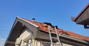 PRIZOR OD KOG HVATA JEZA Vladica otvorio vrata, a unutra smrad, izmet i legla divljih životinja