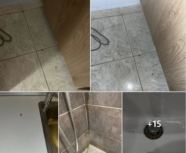 TIRKIZNO MORE, MEDITERANSKA HRANA, A APARTMANI IZ NOĆNE MORE Jelena s bebom na letovanju u Grčkoj zatekla WC koji pliva u vodi i prljavštinu svuda