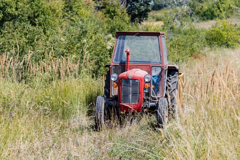 OVO JE OZBILJNA ŠANSA ZA POLJOPRIVREDNIKE Iz ovog ugla niko nije posmatrao šta donose Vučićeve mere