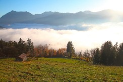 Stolovi kod Kraljeva: Planina slobodnih konja i beskrajnih pogleda