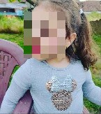 POTRESNO! MAJKA HTELA DA IZBEGNE PSA NA PUTU, PA JOJ ĆERKICA (3) ISPALA IZ KOLA Vozilo priklještilo devojčicu, nije joj bilo spasa!