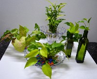 UZMITE KRPU, ČAJ I JAJA Cveće nikako ne držite na podu, evo kako se održavaju sobne biljke u jesen