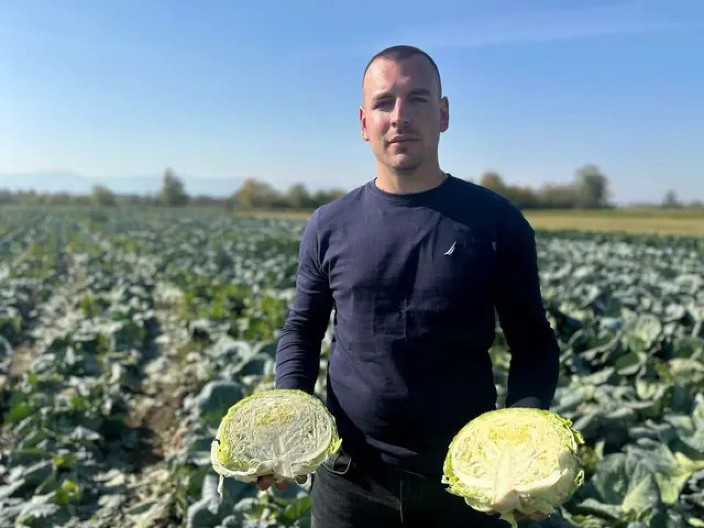 KAKO DA PREPOZNATE GLAVICU KUPUSA KOJA JE PUNA HEMIJE Ako ovo primetite na listovima, ne kupujte