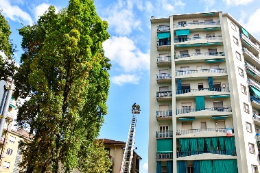 DETALJNO OBJAŠNJENJE, OVO JE SVE ŠTO TREBATE DA ZNATE O NOVIM MERAMA Šta nam je potrebno za legalizaciju, svaki objekat će biti precizno evidentiran