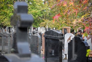 SUTRA SU MIHOLJSKE ZADUŠNICE Greh je ovo raditi na groblju, a svi to čine!