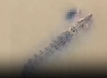 TELO ŽENE U ČELJUSTIMA KRODODILA Tragedija u Istočnoj Indiji (FOTO)