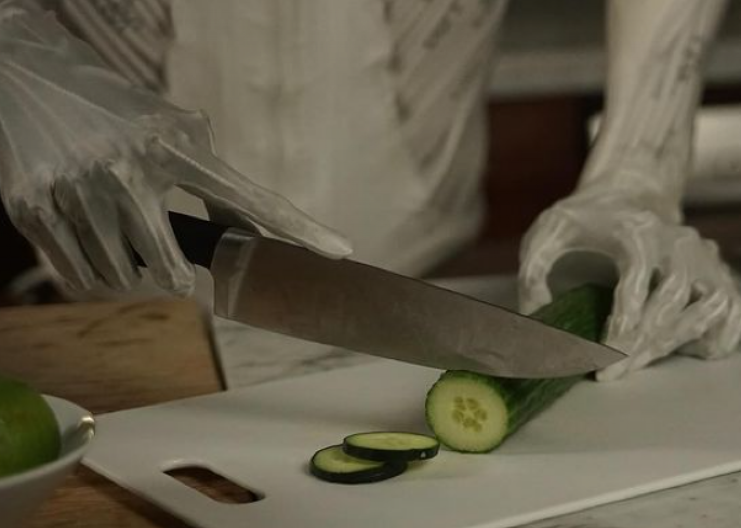 Spora, ali urnebesna – domaćica-robot pere sudove i priča viceve za 20.000 dolara