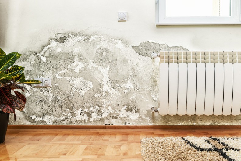 VLAGA U STANU VAM UNIŠTAVA ZDRAVLJE? Stručnjaci otkrili trik od 10 dinara koji rešava problem zauvek!