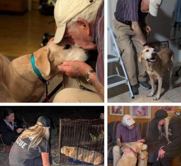 DIRLJIVO I URNEBESNO Starac (93) zahvaljujući smrdljivim čarapama pronašao svog psa