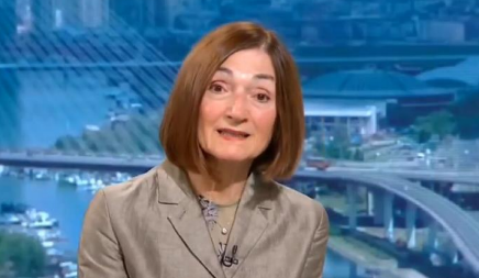 "OVO JE POBUNA ELITE KOJA SVE DRUGE SMATRA SELJAČINAMA, ĆACIJIMA, KREZUBIMA" Smajlović u par reči definisala srž blokadera