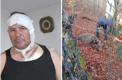 OVO JE LOVAC KOGA JE NAPALA MEDVEDICA Jeziva ispovest: Kao puma se bacila na mene, nisam smeo da promašim