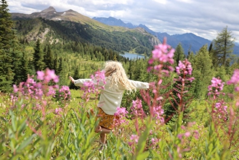 NAJMOĆNIJA BILJKA NA SVETU U SRBIJI RASTE KAO KOROV  Sirup od nje je pravi spas za srce!