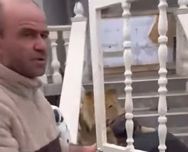 HOROR U ALBANSKOM SELU Divlja zver ščepala muškarca za vrat, a onda je komšija ''ljubimcu'' udario šamarčinu - snimak ledi krv u žilama! (VIDEO)