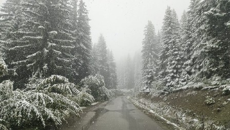 OVAJ SRPSKI GRAD JE ZAVEJAN, A ČEKA NAS JOŠ JEDNA TURA SNEGA Evo koji delovi su na udaru (FOTO)