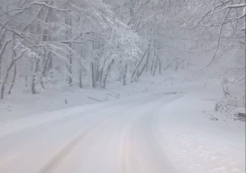 EVROPSKA ZEMLJA JAKO POGOĐENA Upaljen alarm – građani su upozoreni