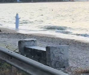 LJUDI, ŠTA JE OVO? Jezivo stvorenje u belom uteruje ljudima strah u kosti -  svako jutro je na obali mora, uvek na istom mestu