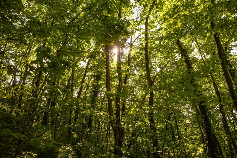 POSAO ZLATA VREDAN Cena ovog proizvoda ide i do 5.000 evra