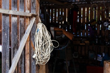 IZ GARAŽE SU UPORNO DOPIRALI ČUDNI ZVUCI Sledila se kada je otvorila vrata - u nju su netremice zurila ova stvorenja