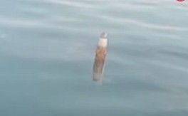 AU, ŠTA JE OVO, MAJKO MILA? Ribar na obali mora pronašao jezivi metalni objekat - obalska straža u panici! (VIDEO)