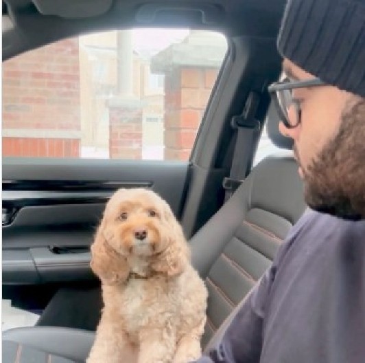 VLASNIK PITAO PSA DA LI GA VOLI Dirljiva reakcija ljubimca, osvojila je srca 4 miliona ljudi!