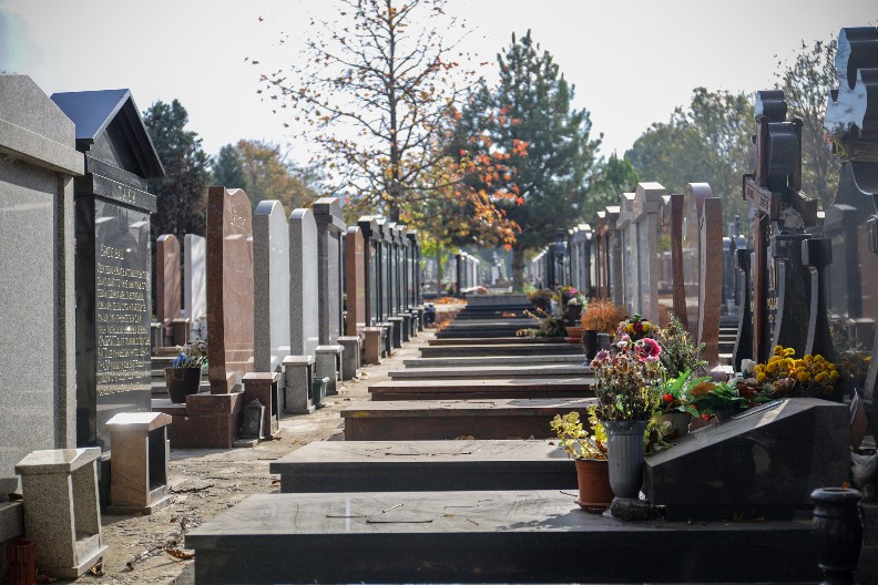 SELI DA SE POSLUŽE ZA ZADUŠNICE, PA UBIO ROĐAKA Tragedija kod Novog Pazara nakon svađe na groblju