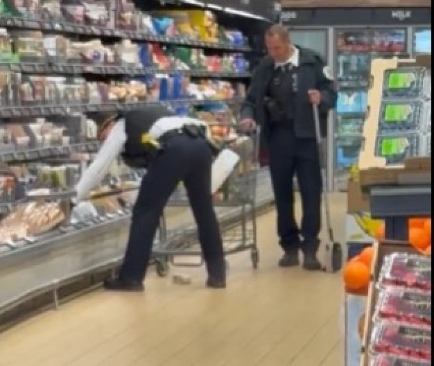 NEOBIČAN ULJEZ U SUPERMARKETU Divlja zver se sakrila među hranom u frižideru, hitno reagovala policija!