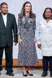 KRALJICA LETICIJA POKAZALA DA TVID NE IZLAZI IZ MODE Njena haljina pristaje svakoj građi, a savršena je za hladne zimske dane