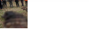 PRONAĐENO 8 TELA, SUMNJA SE NA GROZNICU! Užas u Kataloniji