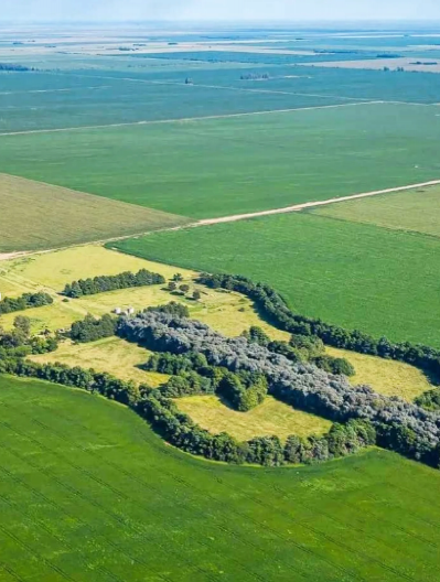 DIRLJIV PRIZOR Gest koji je ovaj muž napravio zbog svoje pokojne supruge tera suze na oči (FOTO)