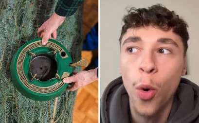 KUPIO BOŽIĆNU JELKU, A DOBIO KATASTROFU Kad je otvorio kutiju i video šta je unutra - ZANEMEO OD ŠOKA! (VIDEO)