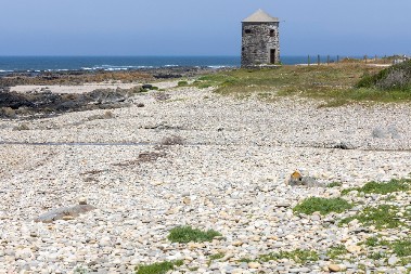 ŠTA JE OVO MORE IZBACILO NA OBALU? Zastrašujući prizor šokirao lokalno stanovništvo - evo šta su zatekli na maloj plaži