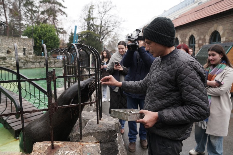 SLONICA IZ ENGLESKE I TRI SESTRE MEDVEDICE IZ MAĐARSKE Stižu novi stanovnici Beo zoo-vrta