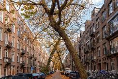 OBAVEŠTAJNA SLUŽBA OBJAVILA ZAGONETNU SLAGALICU Svi su pozvani da je reše, ko uspe dobiće "večnu slavu"